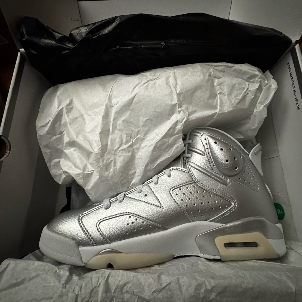 Air Jordan 6 Retro x Paris Saint-Germain "Metallic Silver"